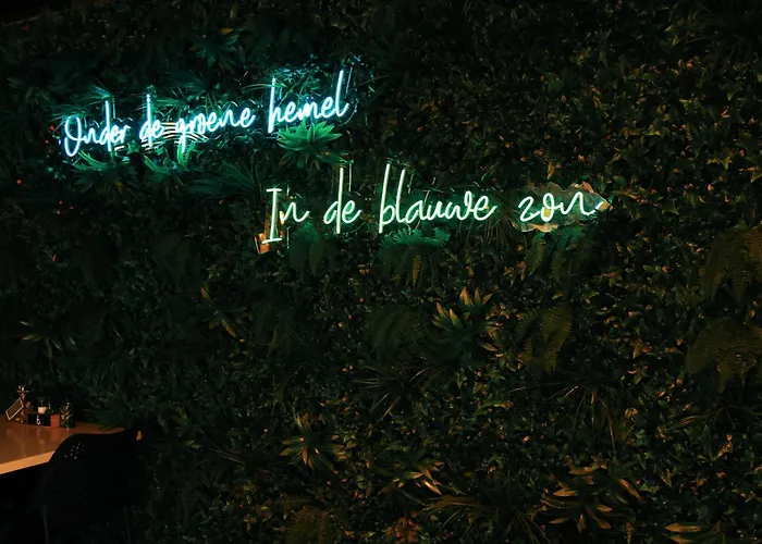 Kemping Tiny House By The Water - De Schans *