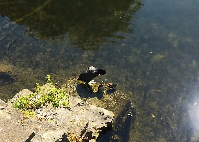 Kemping Tiny House By The Water - De Schans